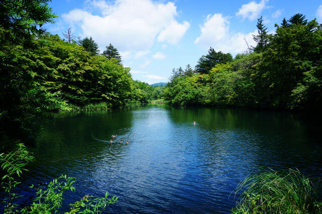 軽井沢の自然